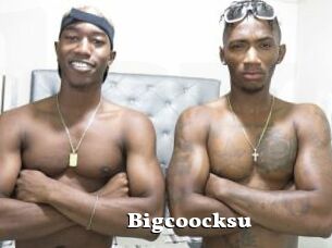 Bigcoocksu