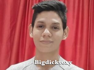 Bigdicksexy