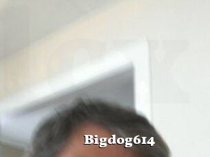 Bigdog614