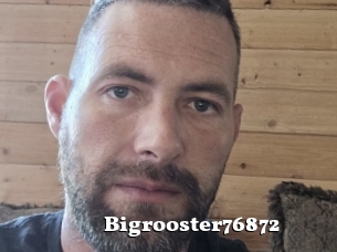 Bigrooster76872