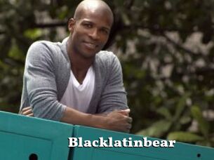 Blacklatinbear