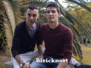 Bleicknort