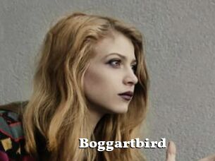Boggartbird