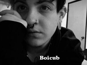 Boicub