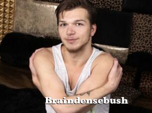 Braindensebush