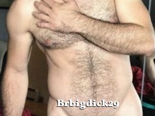 Brbigdick29