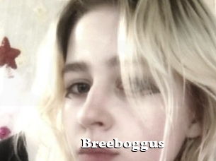 Breeboggus