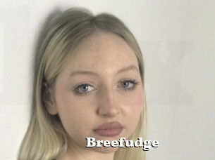 Breefudge