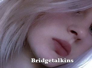 Bridgetalkins