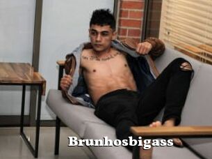 Brunhosbigass