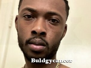 Buldgycancer