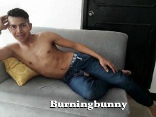Burningbunny