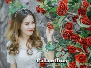 Calanthas