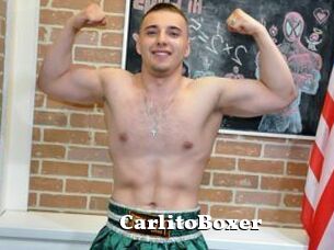 CarlitoBoxer