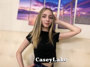 CaseyLake