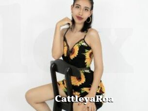 CattleyaRoa
