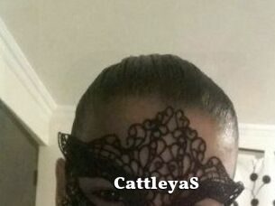 Cattleya_S