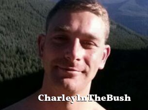 CharleyInTheBush
