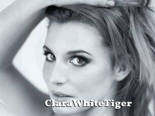 ClaraWhiteTiger