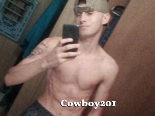 Cowboy201