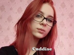 Cuddise