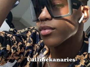 Callmekanaries