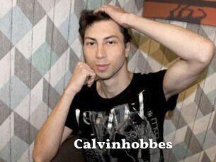 Calvinhobbes