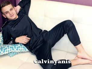 Calvinyanis