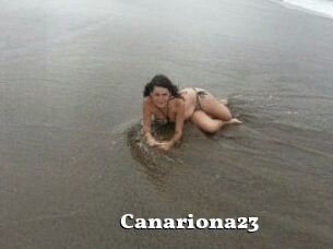 Canariona23