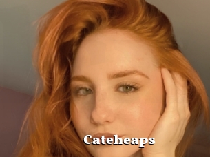 Cateheaps