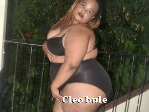 Cleo_bule