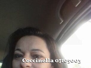 Coccinella-07105003