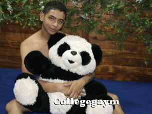 Collegegaym