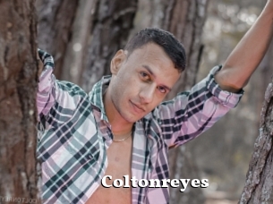 Coltonreyes