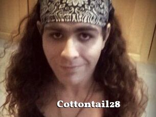 Cottontail28