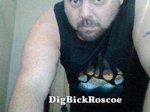 DigBickRoscoe