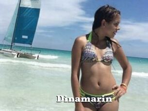 Dinamarin