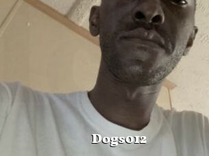Dogs012
