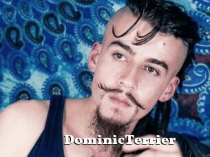 DominicTerrier
