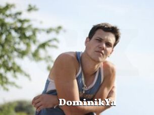 DominikYa