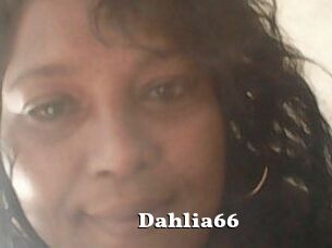 Dahlia66