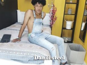 Danii_steel