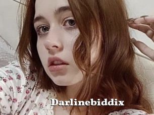 Darlinebiddix