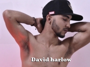 David_harlow