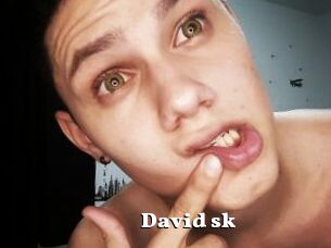 David_sk