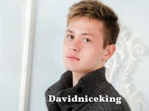 Davidniceking