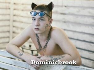 Dominicbrook