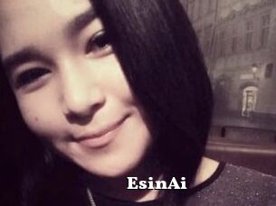 EsinAi