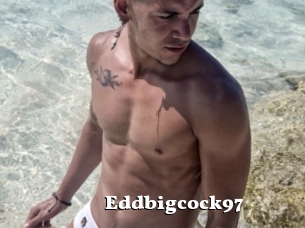 Eddbigcock97