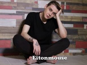 Eitonmouse